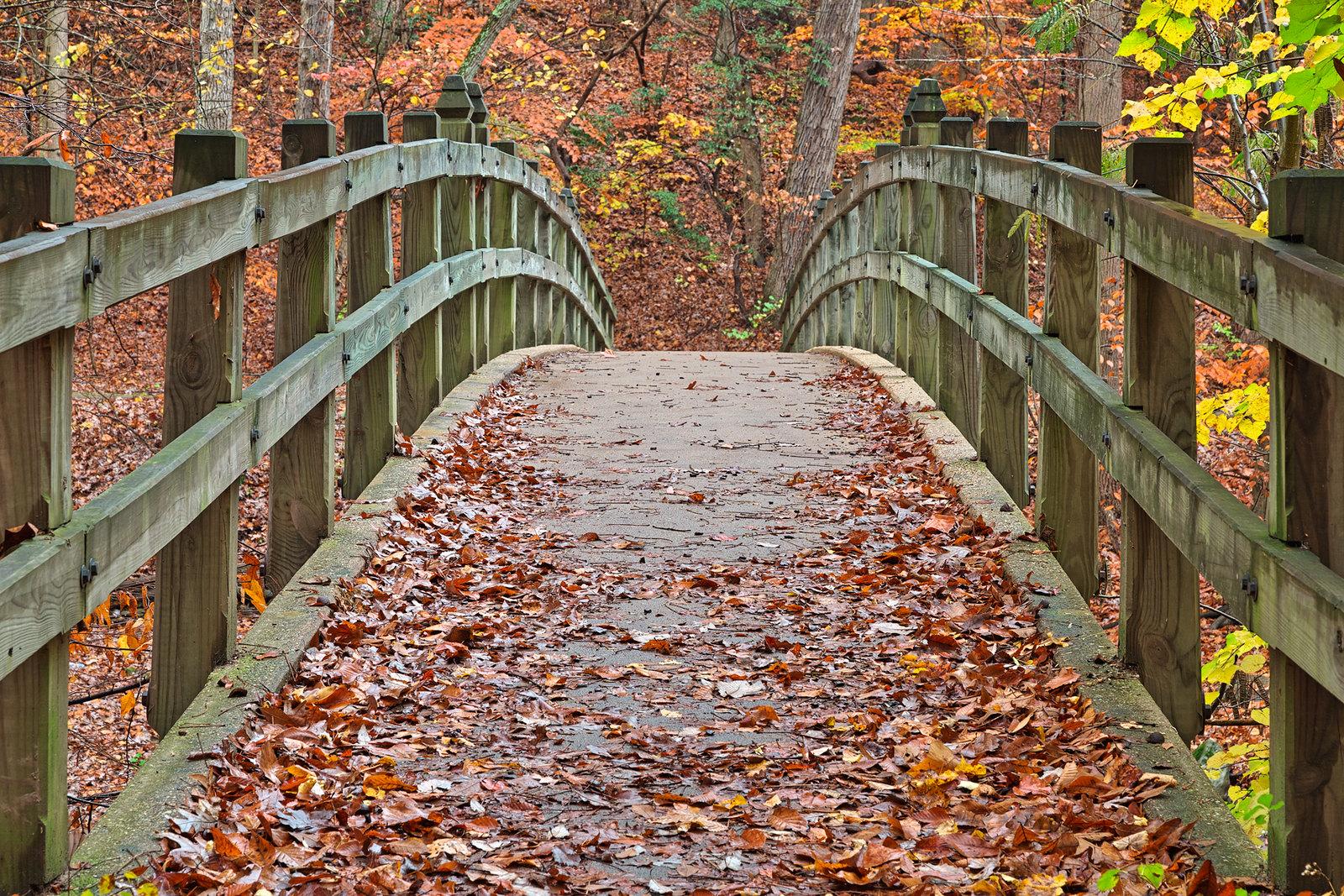 The Best Cycling Routes in DC for Families and Beginners: Safe Paths to Pedal Together