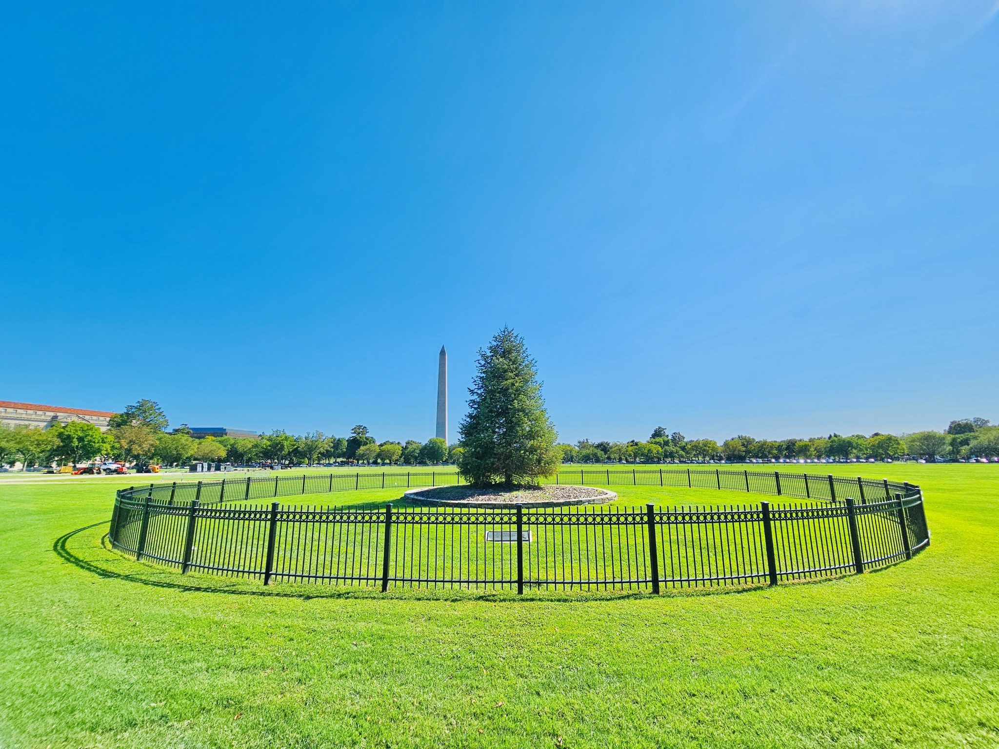 Washington’s Cultural Shift: The History and Evolution of This Local Scene