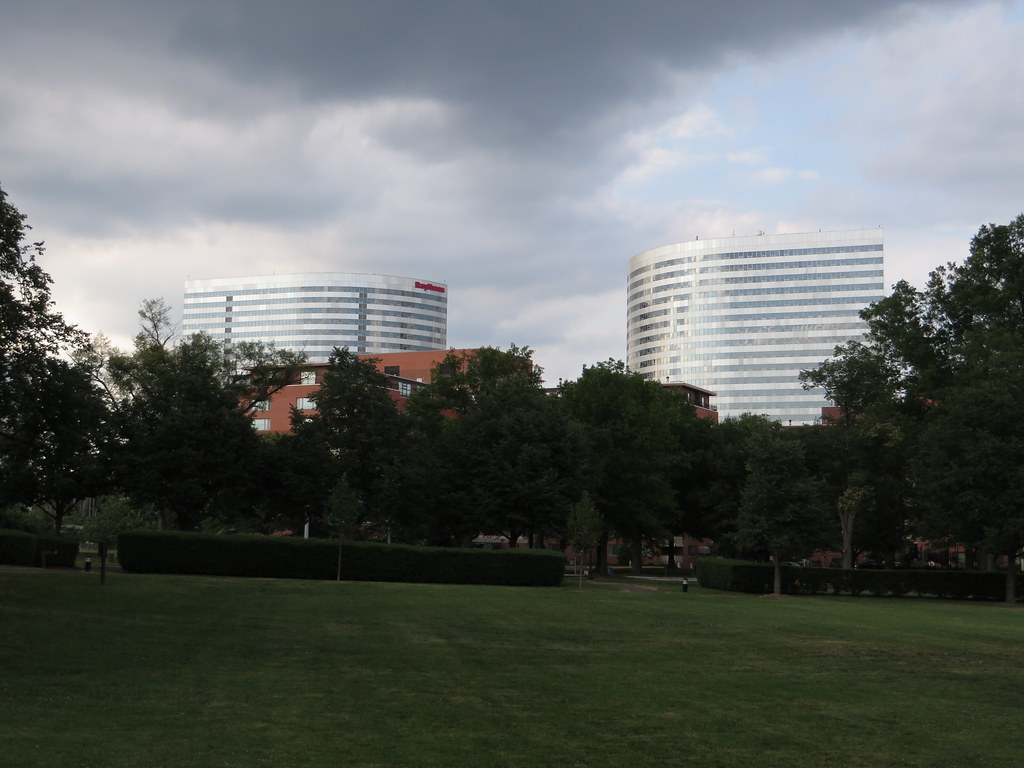 How Washington, D.C., Became Ground Zero for a Federal Workforce Under Siege