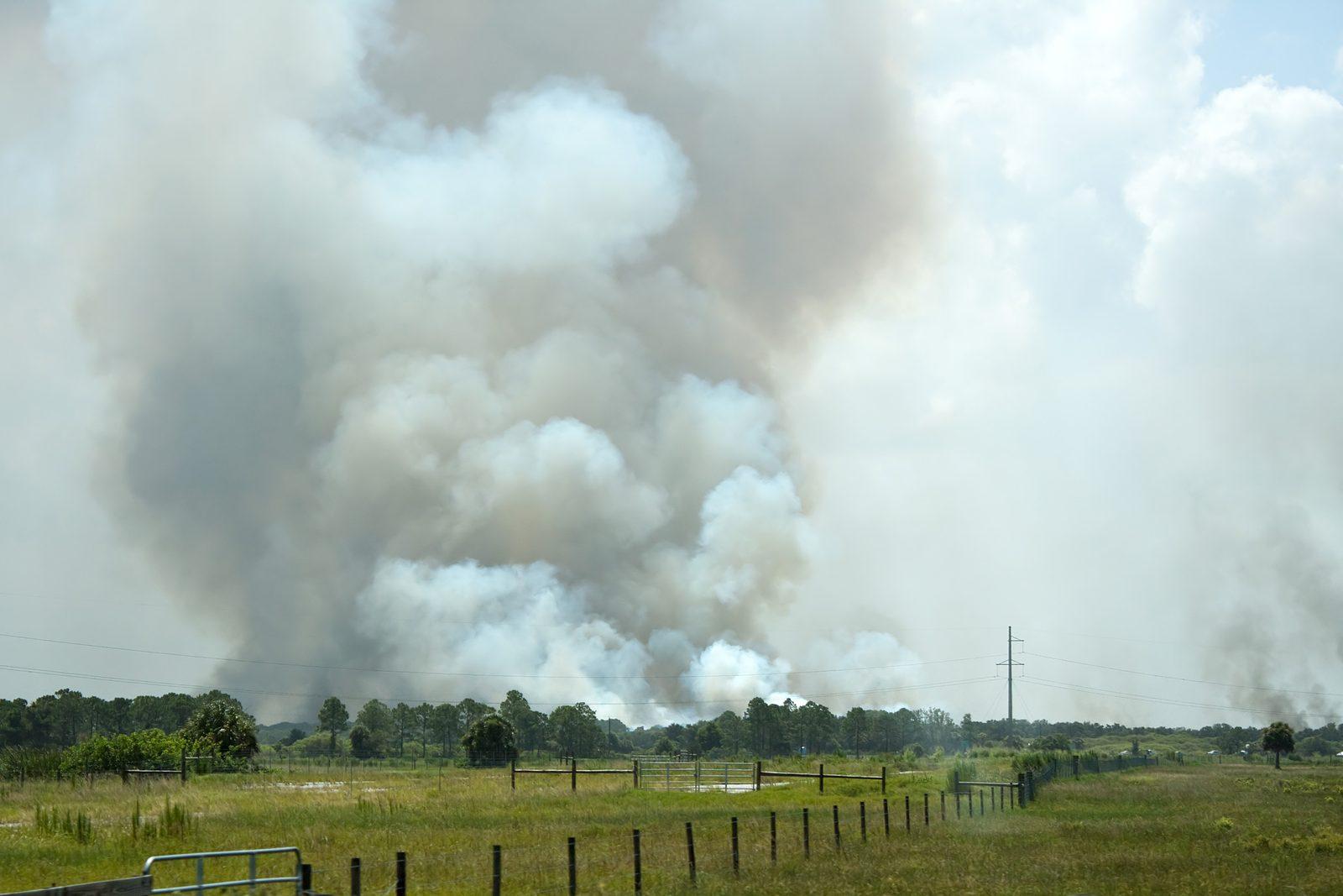 Wildfire Smoke Forces Code Purple Air Alerts Across Washington DC