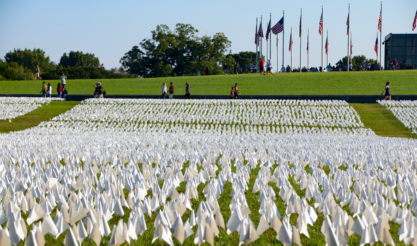 Social Connection as Medicine: The Loneliness Epidemic in Washington DC